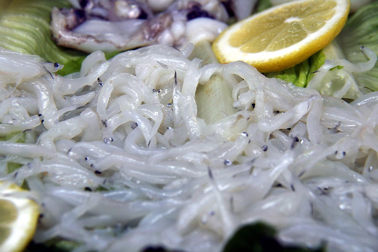 Angules crues, a punt per a la seva preparació | Viquipèdia