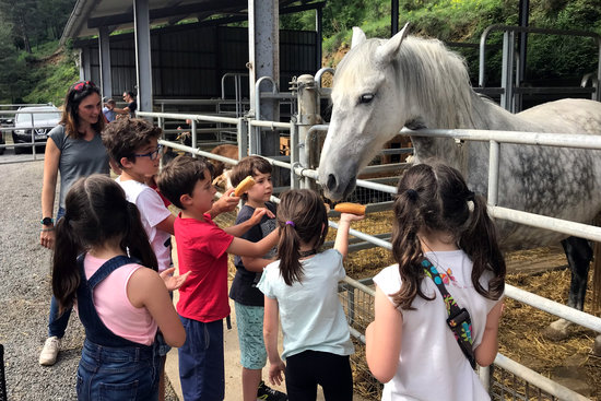 Una de les visites del Benvinguts a Pagès, edició de 2018 | ACN