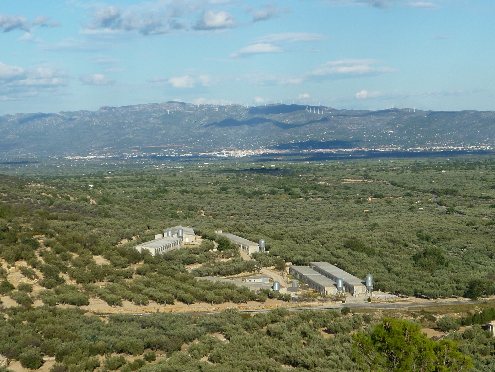 Àrea de regadiu del canal Sènia-Xerta