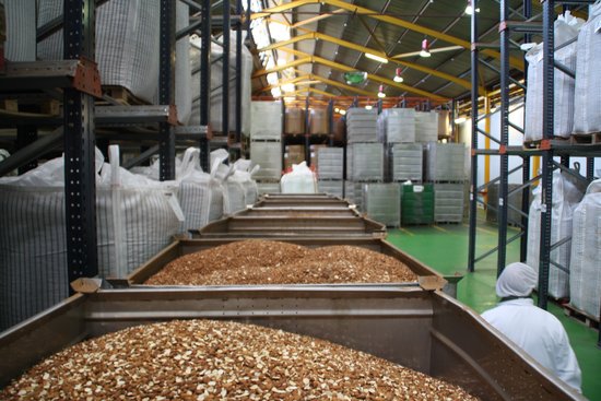 Centre productiu de Borges a Reus amb ametlles en primer terme | ACN