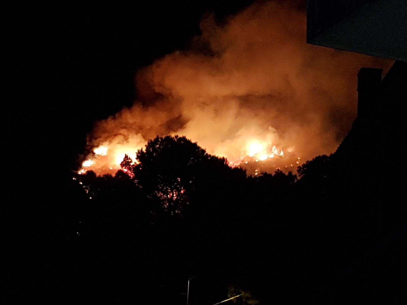 Incendi forestal a Castelldefels, gener de 2018 | ACN