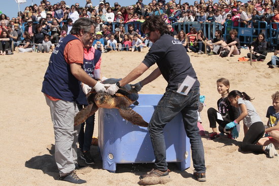 Dos dels voluntaris del CRAM alliberant una tortuga | ACN
