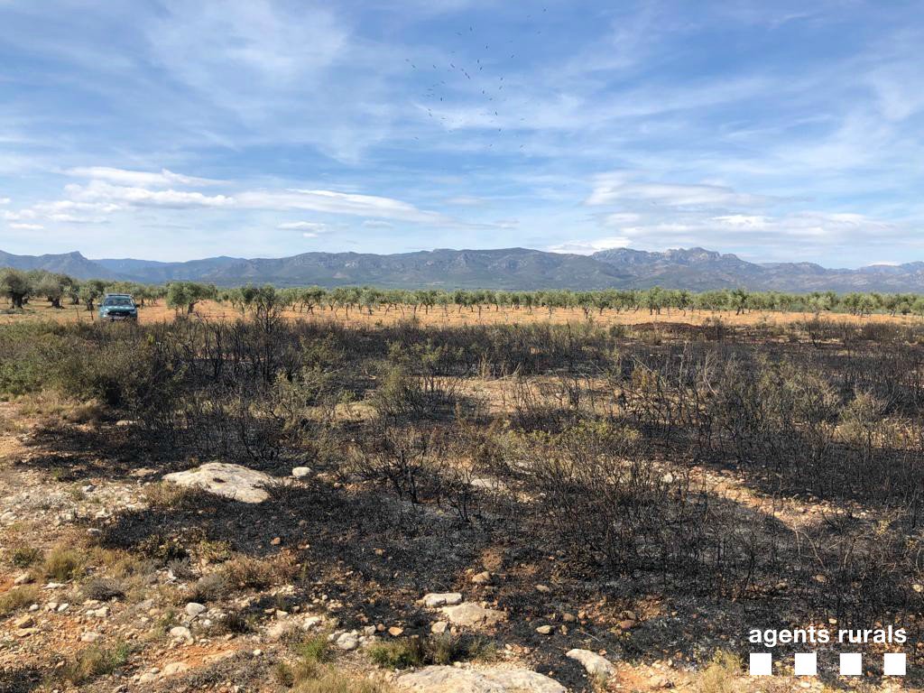 Incendi originat a l'entorn d'una granja porcina del Montsià | ACN