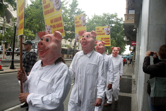 Entitats ecologistes de Catalunya fan una acció davant del Departament d'Agricultura, Ramaderia, Pesca i Alimentació i reclamen una moratòria de noves granges de porcs i ampliacions de les existents a Catalunya | ACN