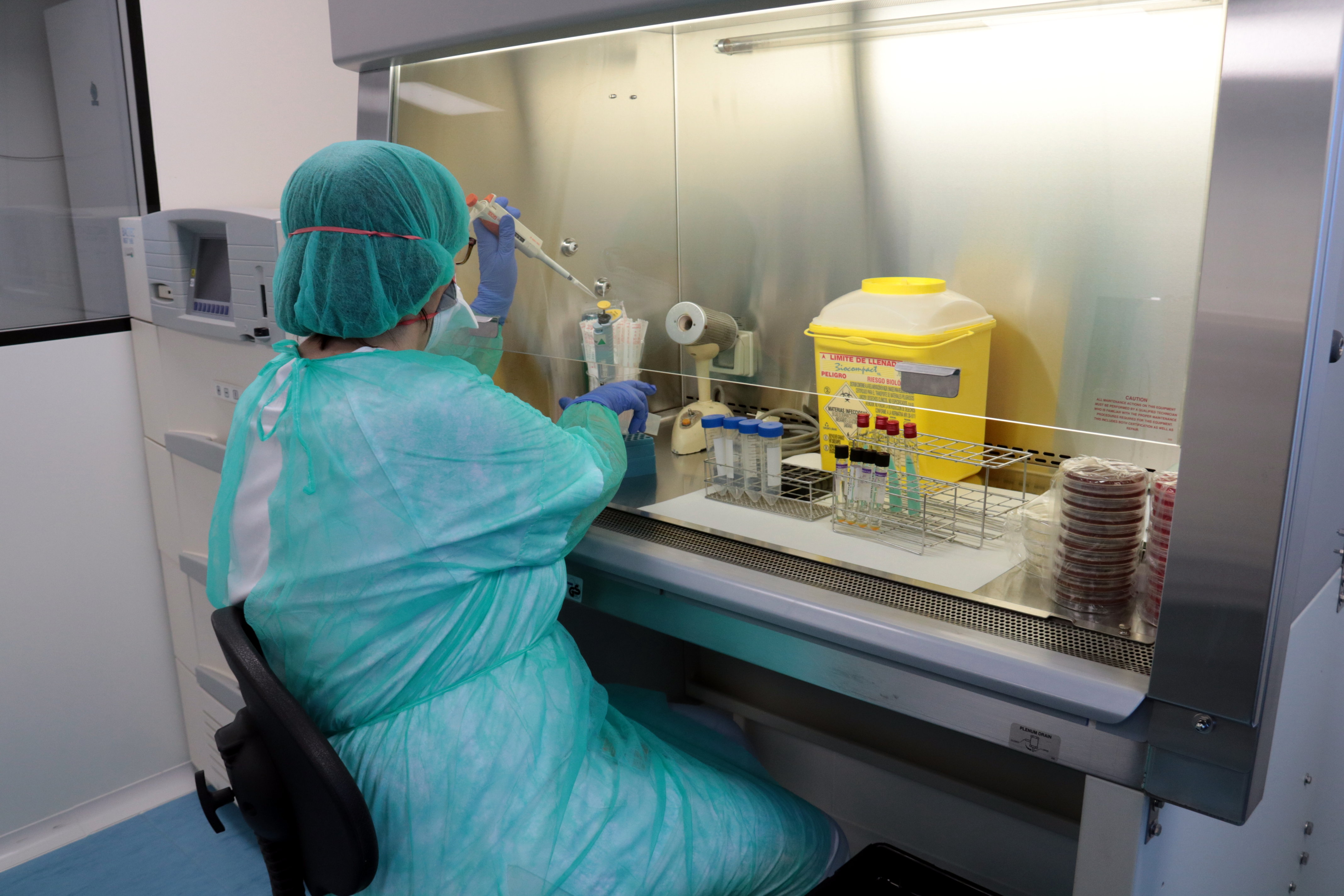 Una professional mostra el procediment per analitzar una mostra d'un pacient al nou laboratori de Microbiologia de l'Hospital Arnau de Vilanova de Lleida | ACN