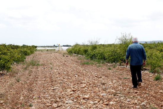 Zona de servitud no conreada del gasoducte de connexió del projecte Castor amb la xarxa al terme de Vinaròs | ACN