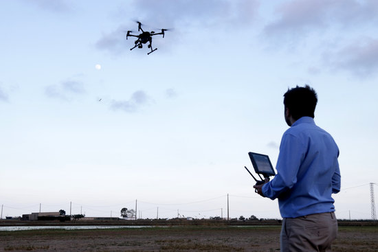 Director tècnic d'Ebredrone pilotant l'aparell a Poble Nou del Delta | ACN
