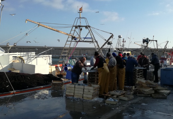 Pescadors al port de l'Escala | Ajuntament de l'Escala