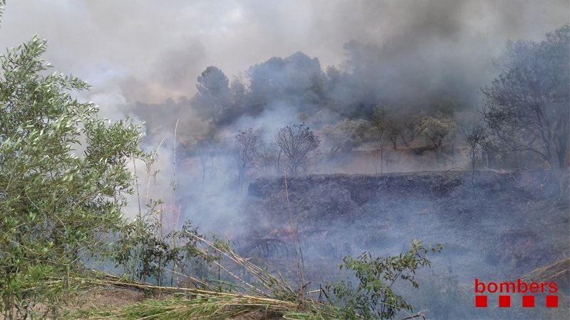 Incendi a Corbera d'Ebre | Bombers