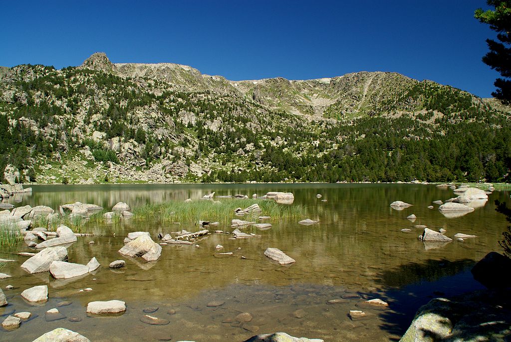 Malniu | Viquipèdia