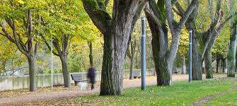 Passeig del Ter, on se celebrarà la 1a Jornada Intercultural d’Osona | Ajuntament de Manlleu