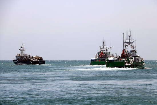 Tres de la embarcacions de pesca d'arrossegament de Grup Balfegó | ACNgó | ACN