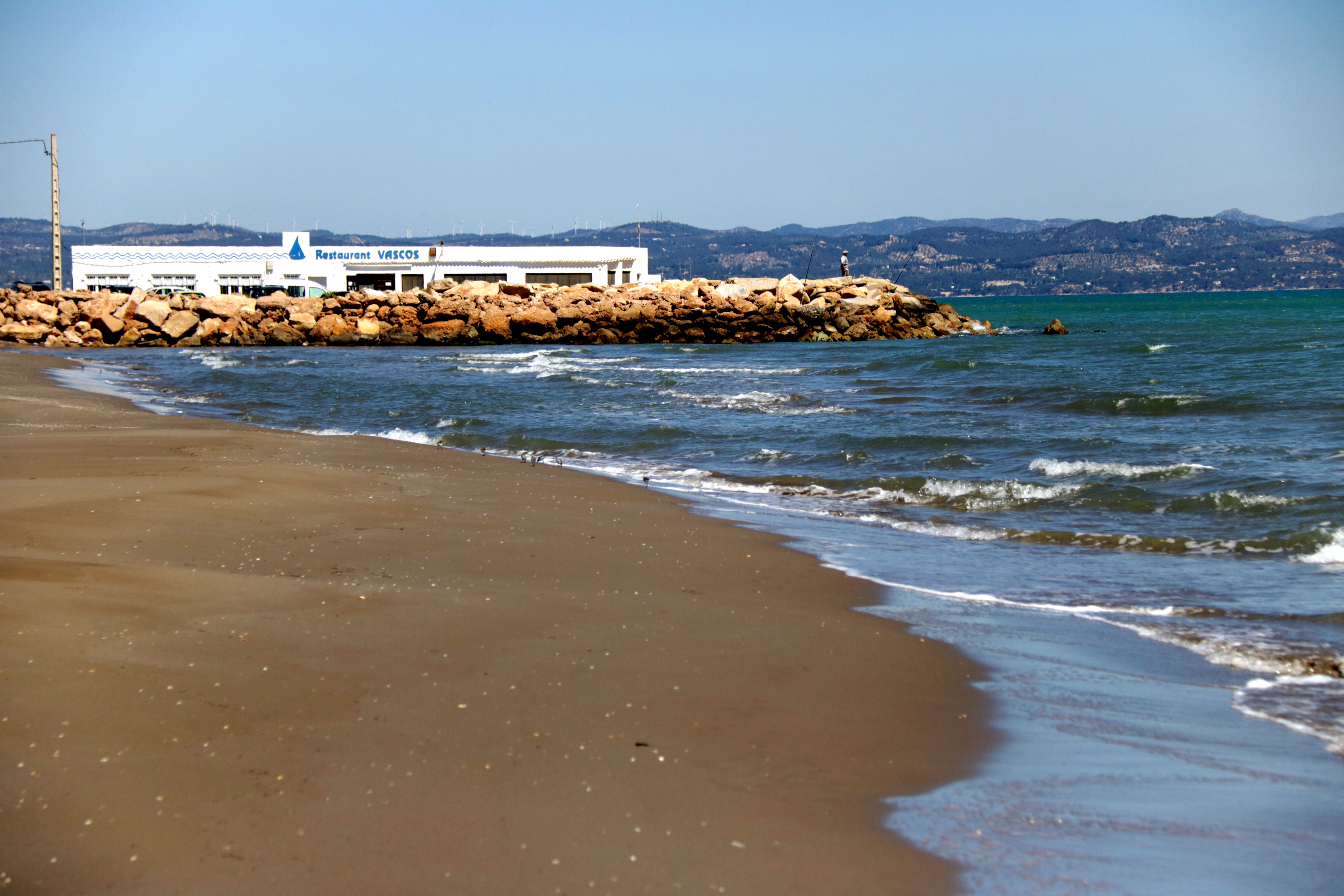 Platja de la Marquesa, al delta de l'Ebre | ACN