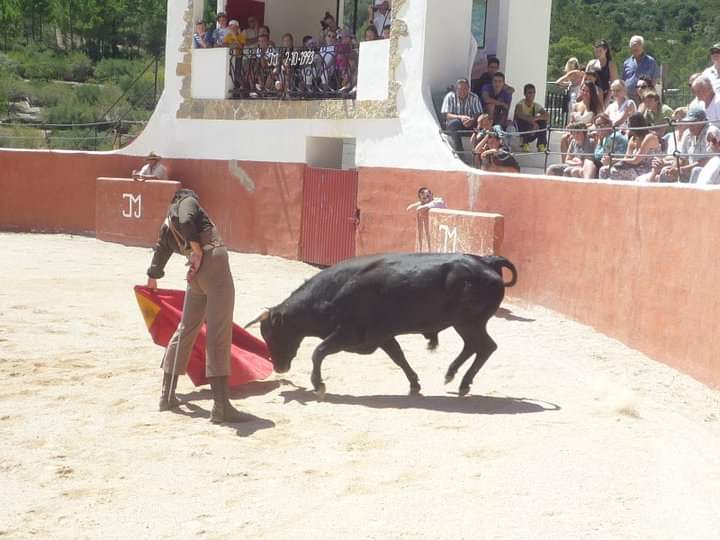 Actuació d'un torero durant un dels espectacles taurins que se celebrarien il·legalment a Alfara | ACN