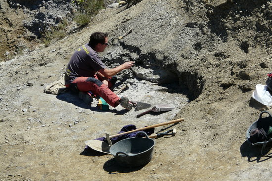 Una de les campanyes d'excavació que s'han fet al jaciment del Molí del Baró a l'Abella de Conca | ACN