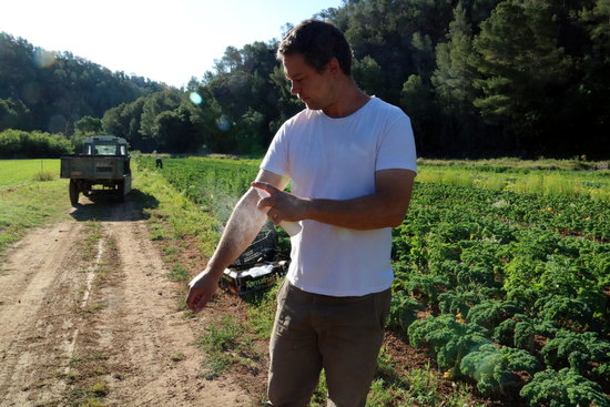 Josep Pedret, ruixant-se amb repel·lent davant d'un dels seus horts | ACN