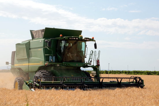 Màquina recol·lectant ordi en una finca d'Alcarràs | ACN