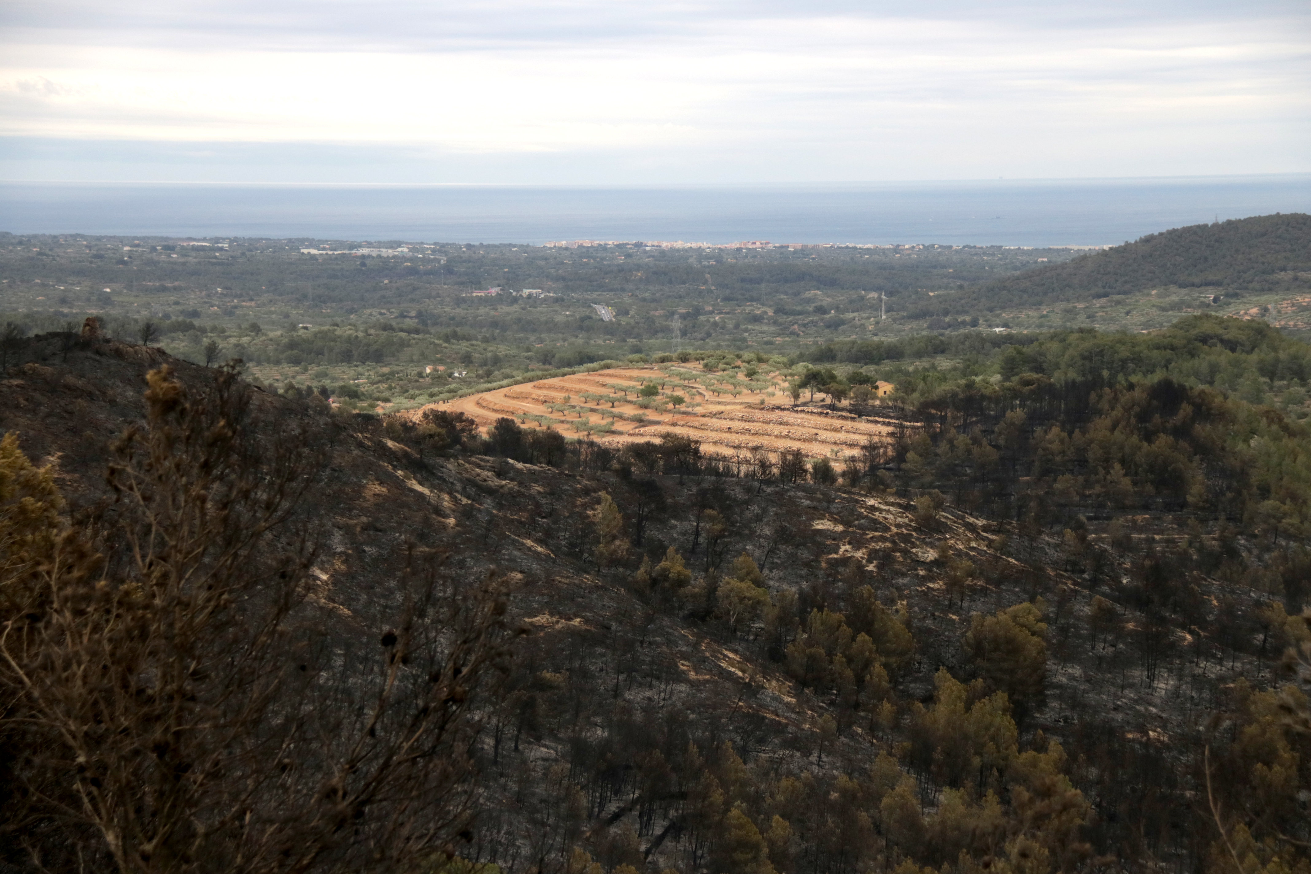 Zona de les Collades afectada per l'incendi forestal del Perelló | ACN