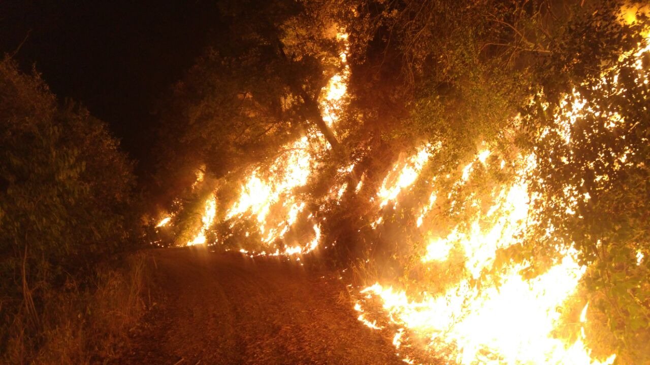 Incendi de Capellades, a l'Anoia