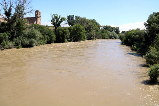 Riu Segre, just abans de confluir amb el Cinca a la Granja d'Escar | ACN