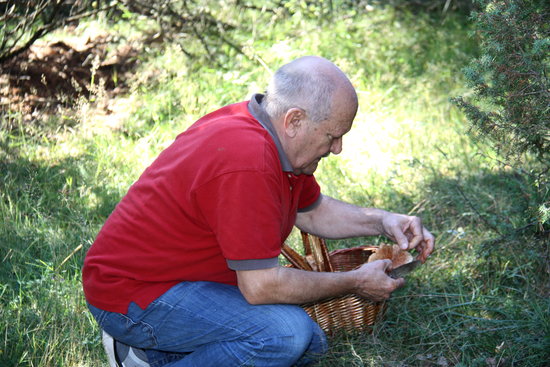Un boletaire examinant un bolet a Montferrer i Castellbò | ACN