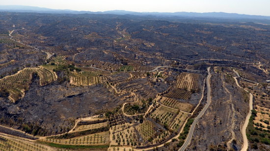 Vista d'ocell d'una de les zones devastades per l'incendi | ACN