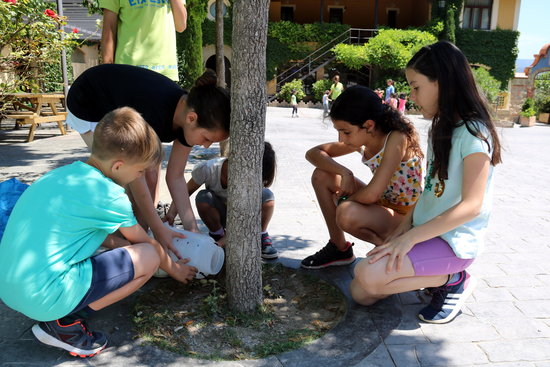 Escolars regant un arbre amb l'aigua que els ha sobrat del dinar | ACN