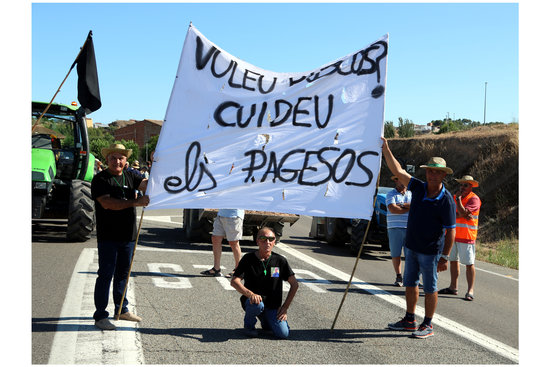 Manifestants que han participat en el tall de carretera de la C-12 | ACN