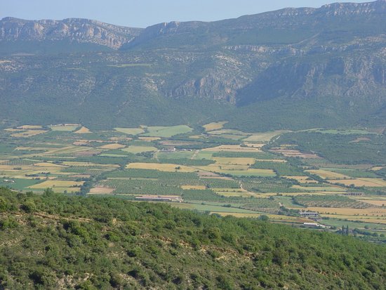 Vista aèria dels camps a la Vall d'Àger | ACN