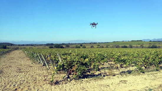 Un dron supervisant una explotació de vinya