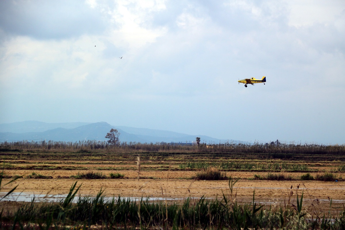 Pla general de l'avioneta que fa les fumigacions contra el mosquit al delta de l'Ebre, sobrevolant l'espai prop de la platja de la Marquesa de Deltebre. Imatge del 7 d'abril del 2020 (horiztonal)