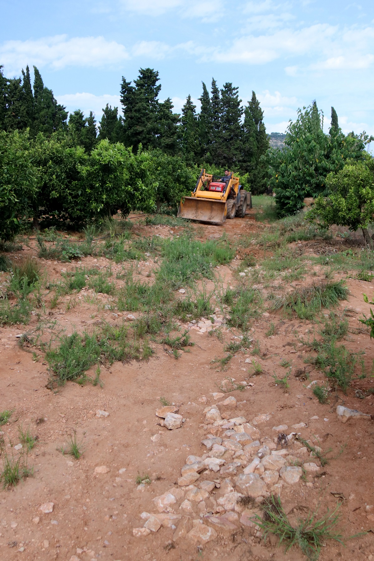 Pla obert del pagès d'Alcanar, Josep Sancho, treballant amb el seu tractor en la restauració d'una finca. Imatge del 9 de setembre de 2021. (Vertical)