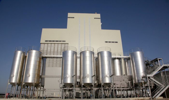 Mangra ha decidit establir-se al Brasil