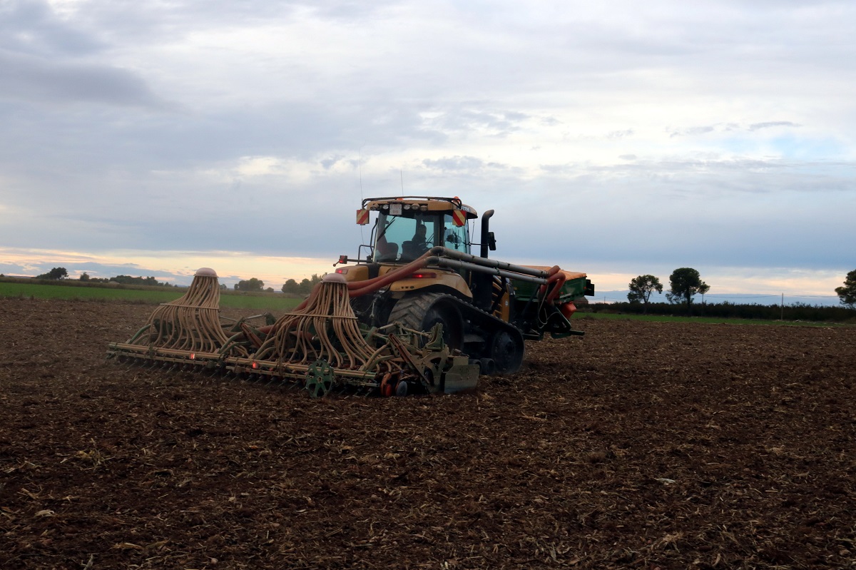 Pla obert d'un tractor sembrant cereal en una finca de Gimenells, el 2 de novembre del 2021. (Horitzontal)